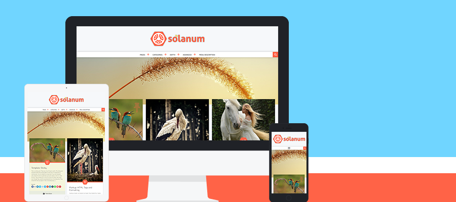 Solanum - Wordpress Theme
